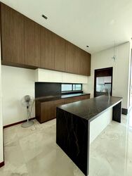 Cayman Residences (D15), Terrace #455568621